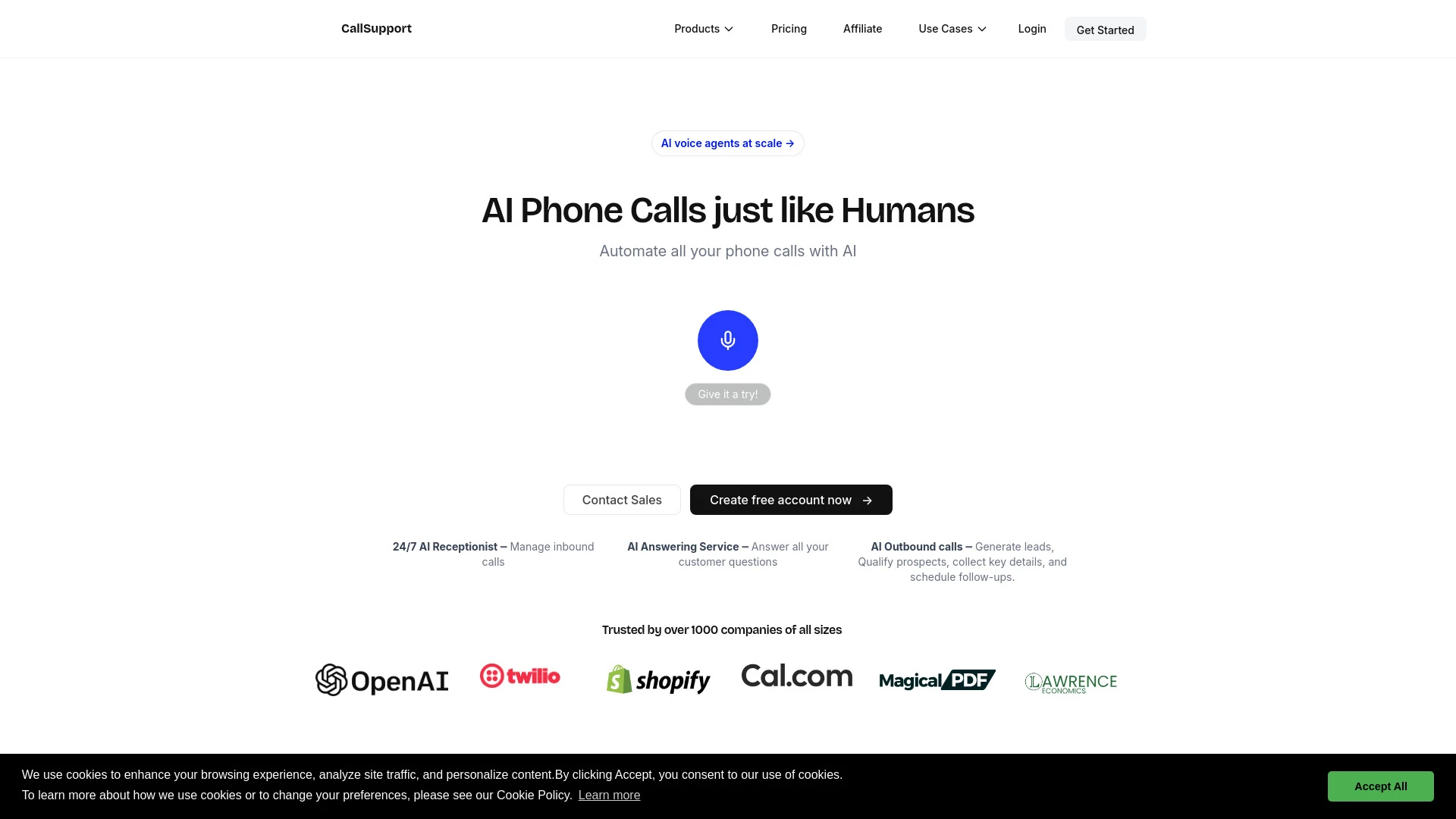 CallSupport website preview