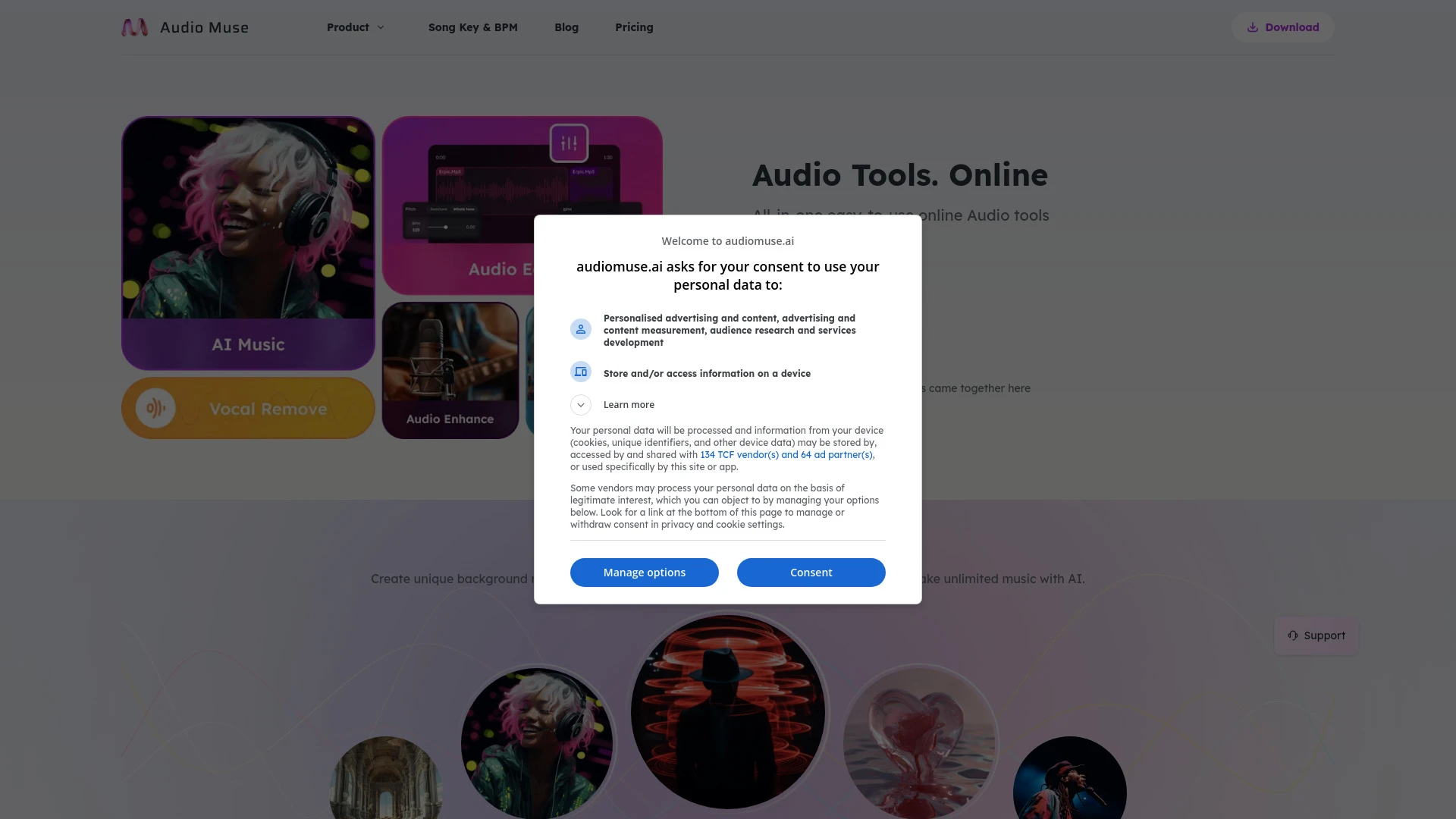 Audio Muse website preview