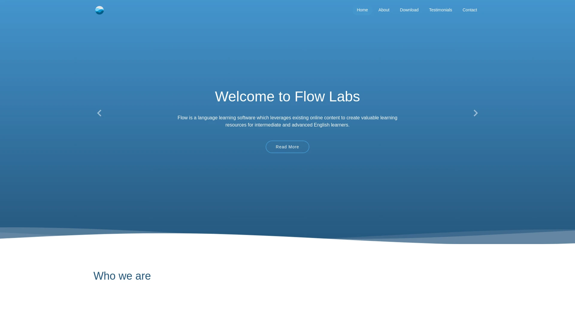 Flow Labs website preview