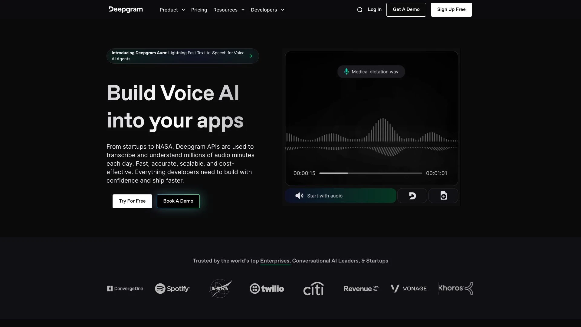 Deepgram Voice AI website preview