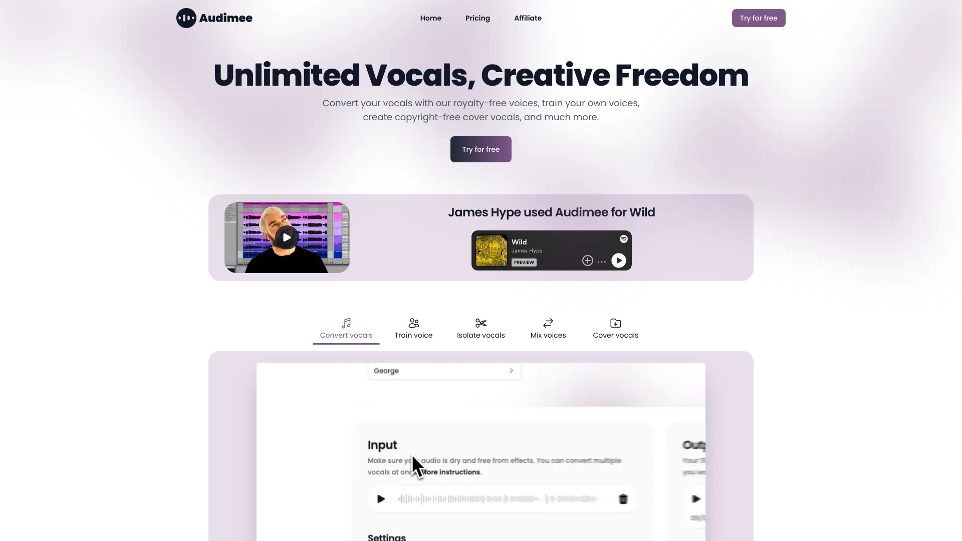 Audimee website preview