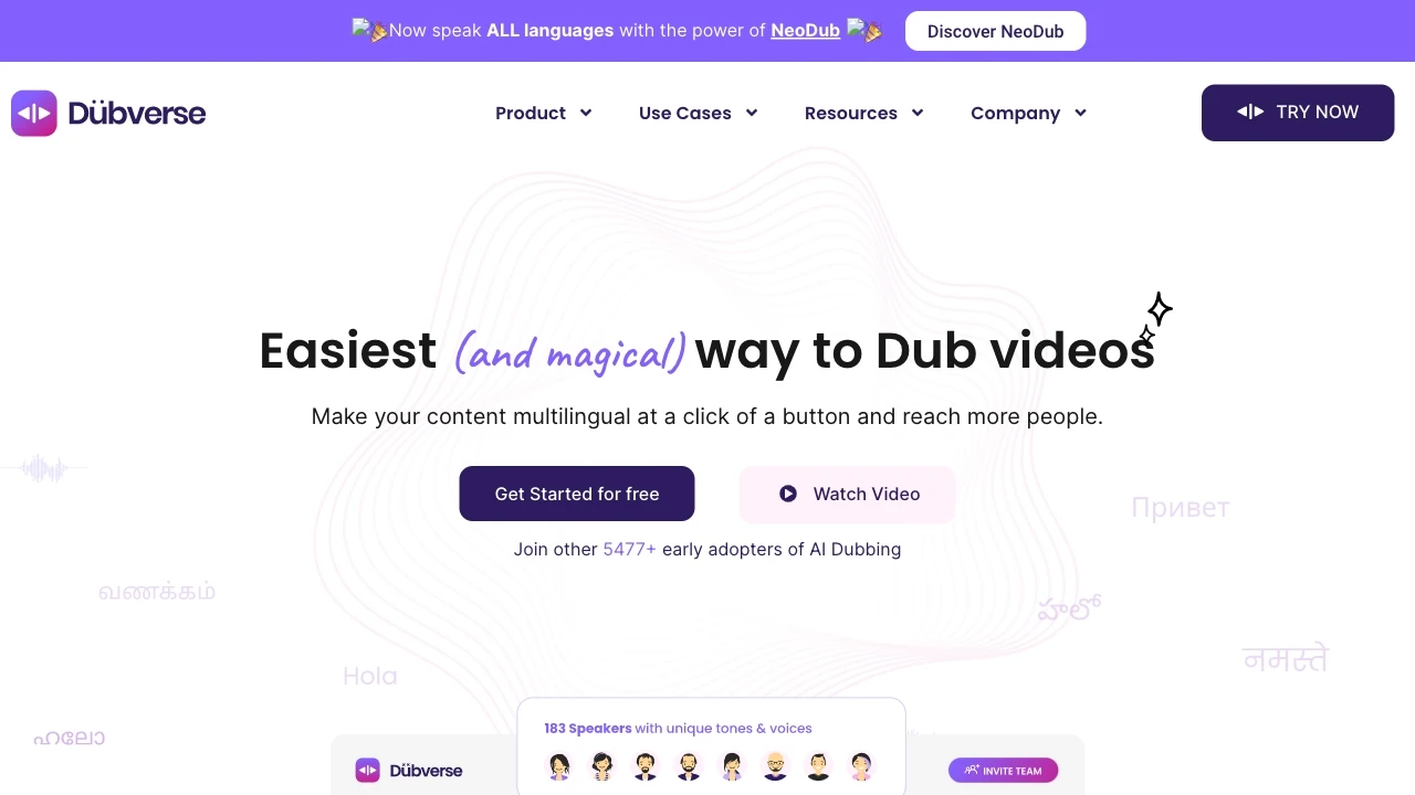 Dubverse website preview