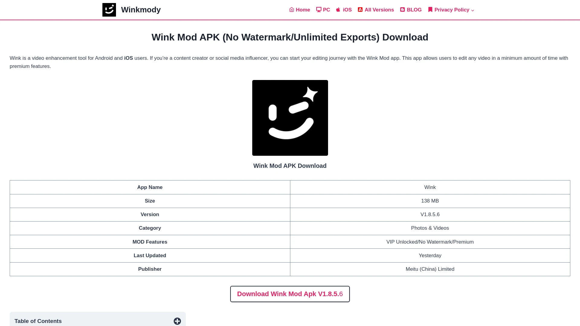 Wink Mody website preview