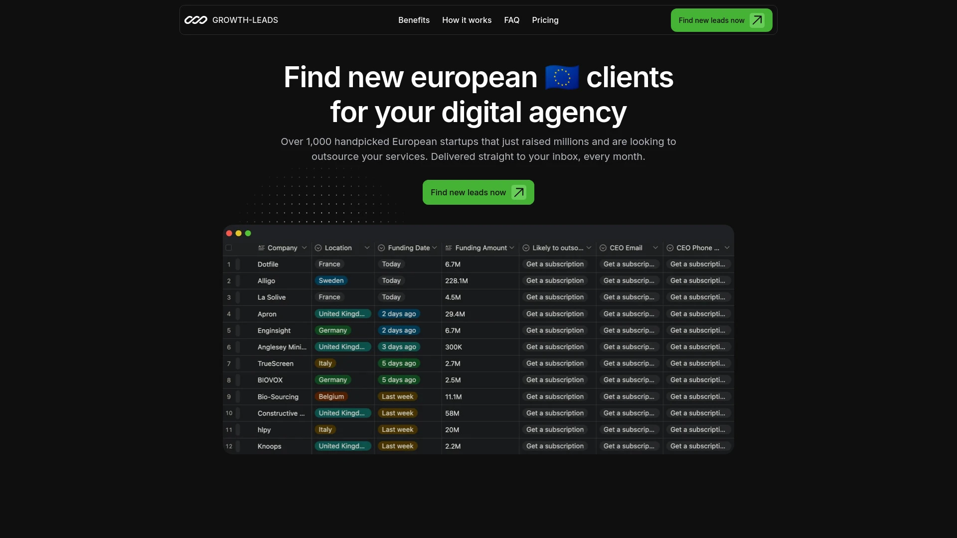 Growth-Leads.co website preview