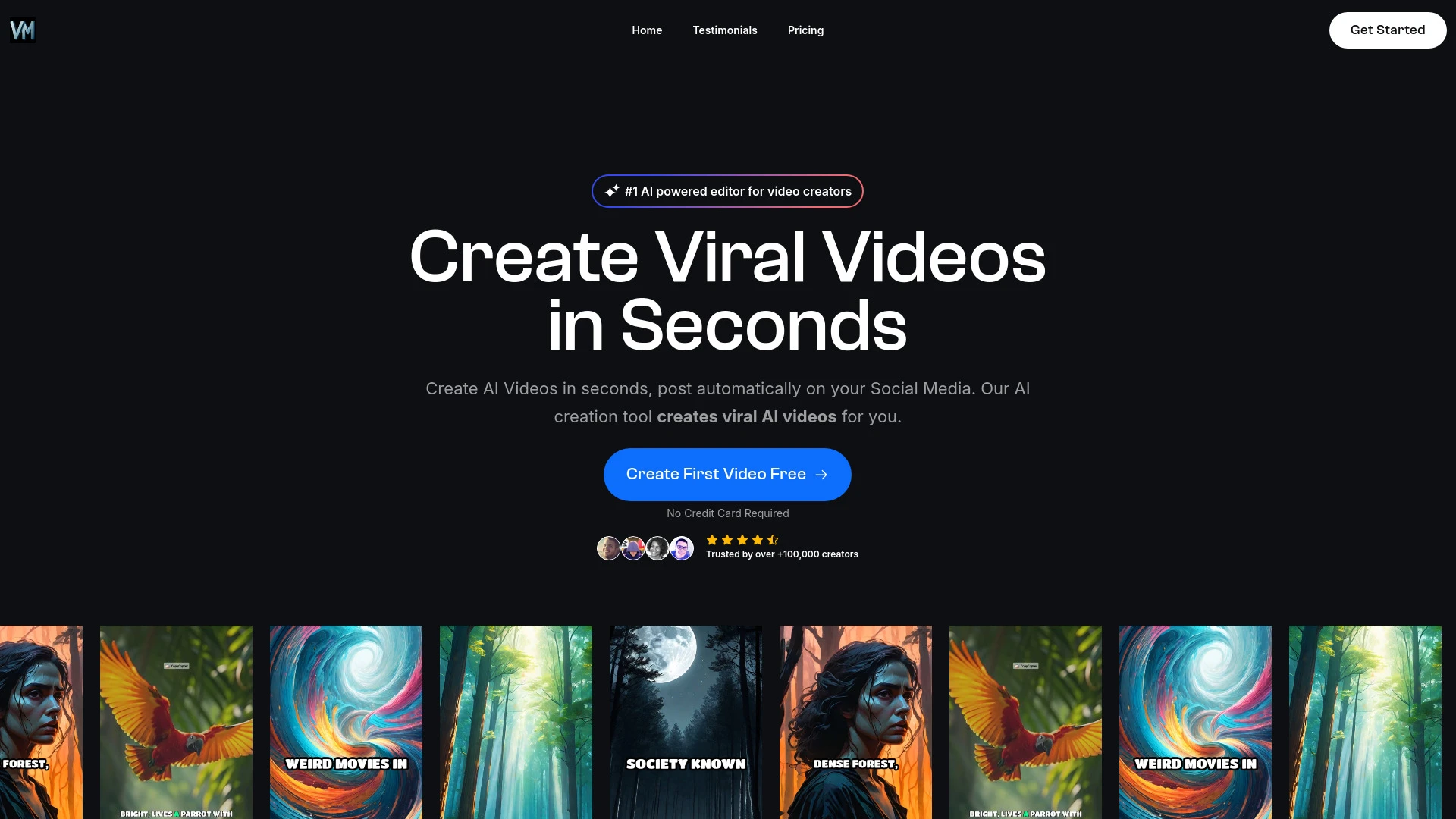 VidMax website preview