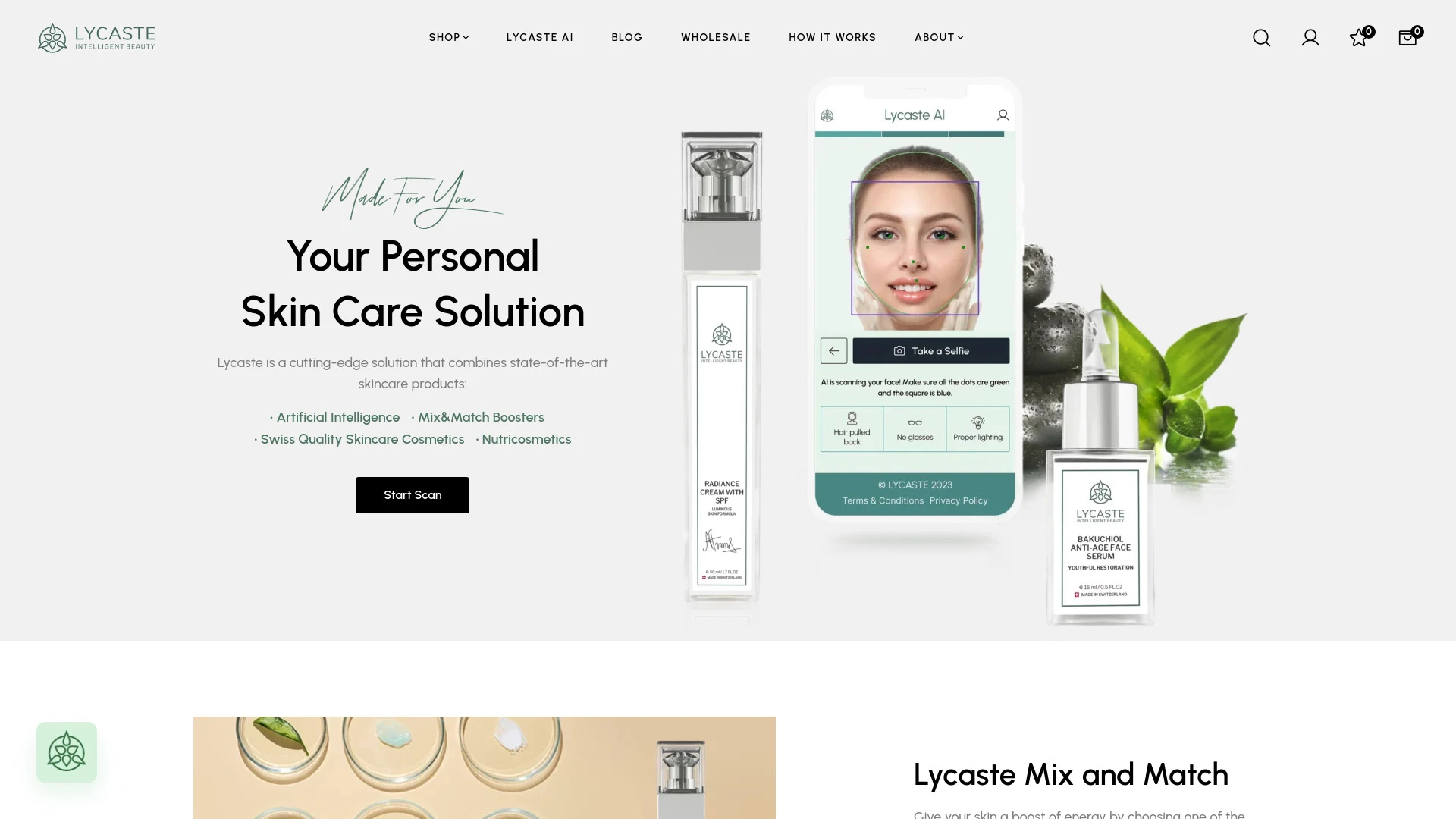 Lycaste website preview