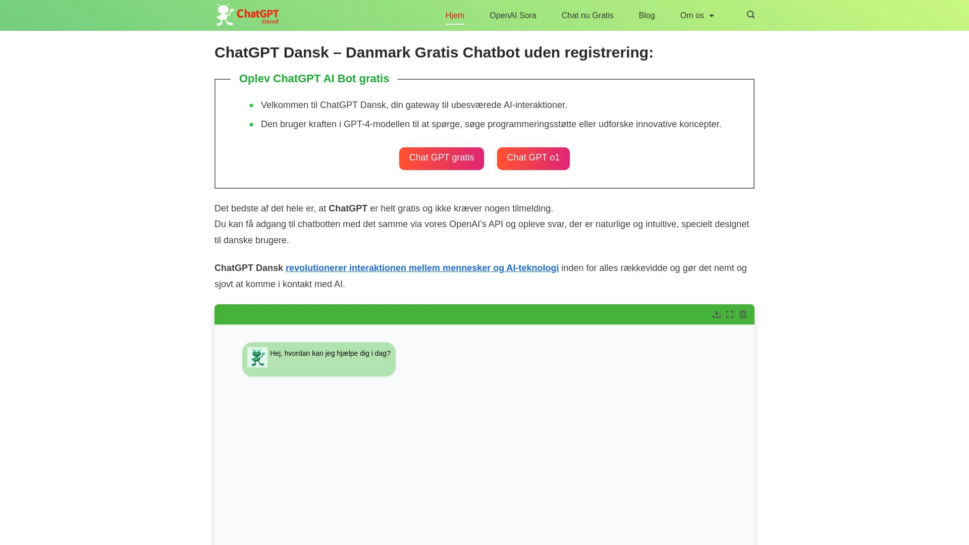 ChatGPT Dansk website preview