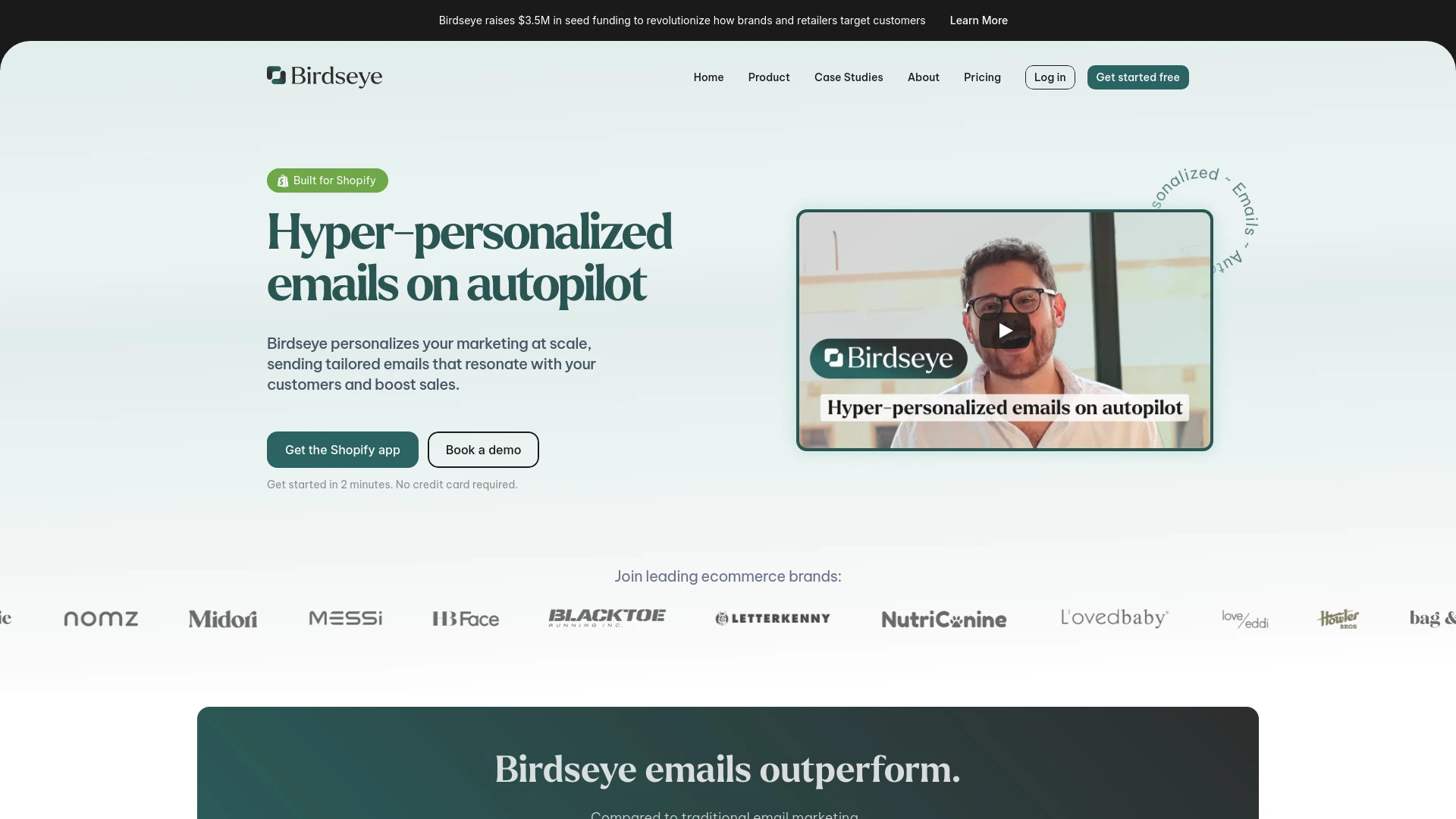 Birdseye website preview