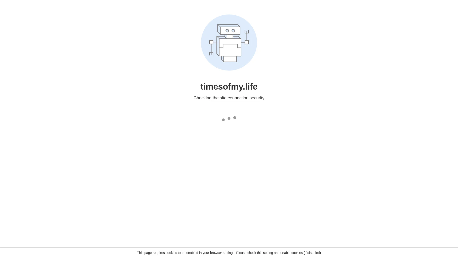 Times of My Life website preview