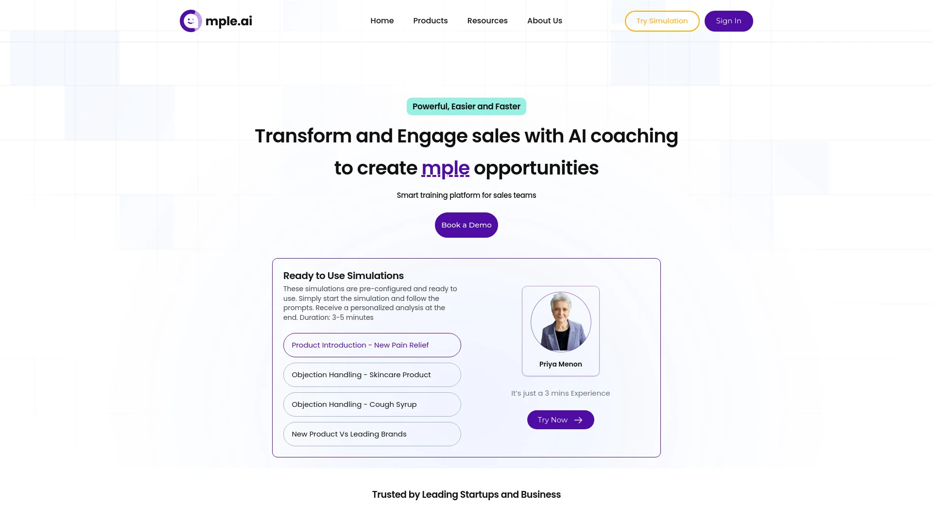 mple.ai website preview