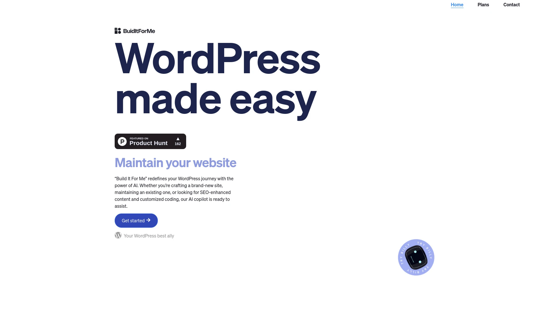 WordPress Copilot website preview