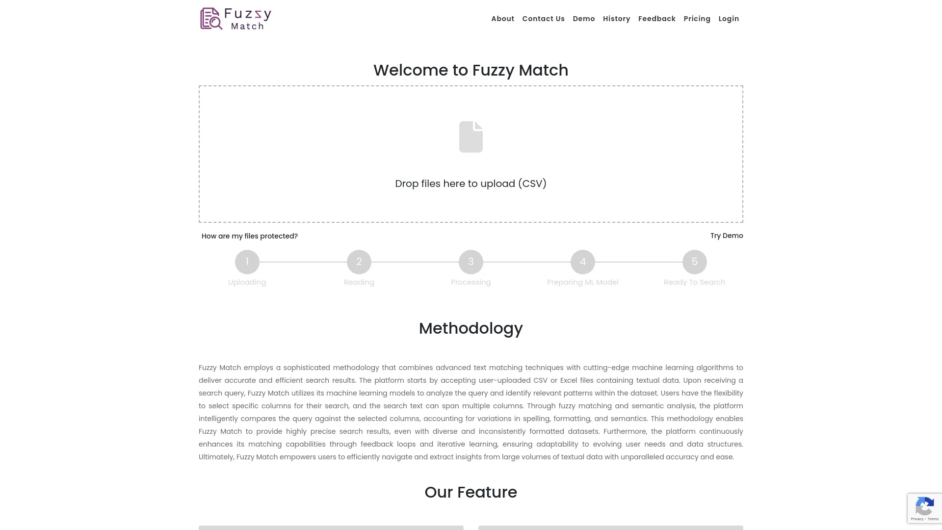 Fuzzy Match website preview