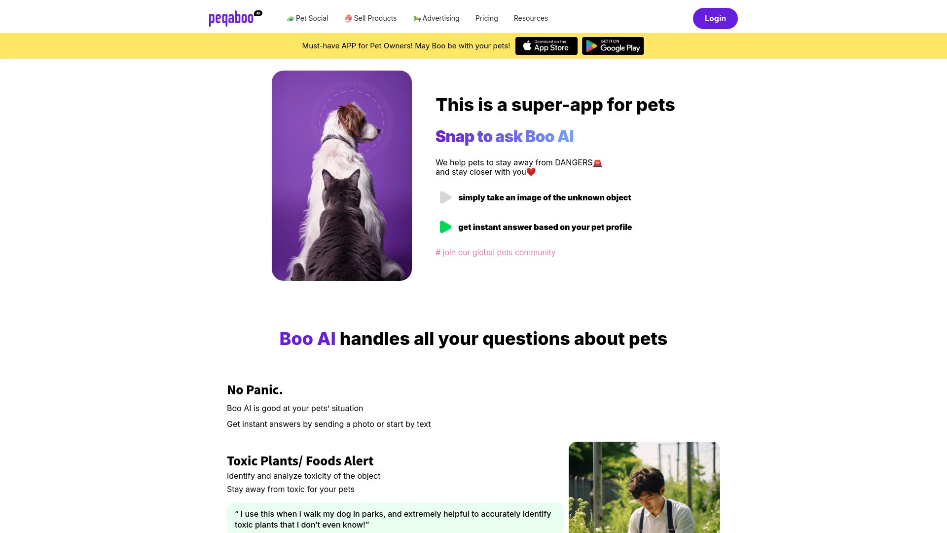 Boo AI, Peqaboo website preview