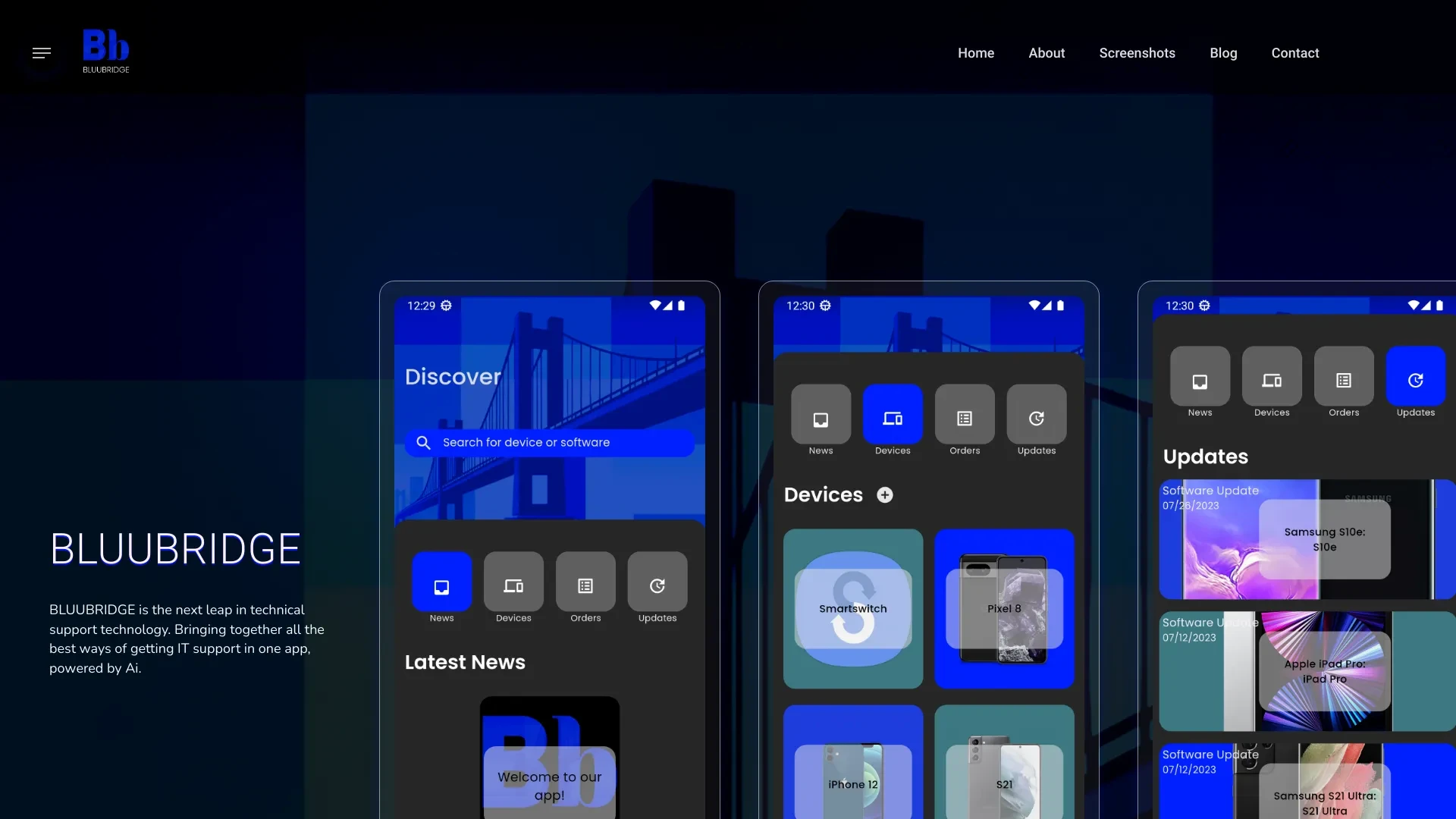 BLUUBRIDGE website preview