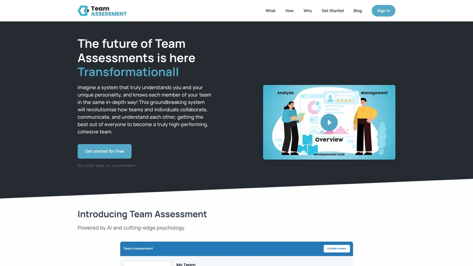 Team Assessment website preview