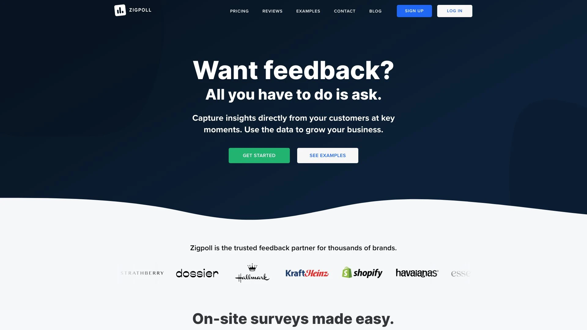 Zigpoll - Survey & Feedback Platform website preview