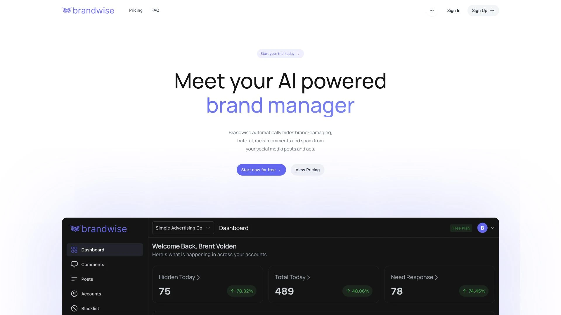 Brandwise website preview