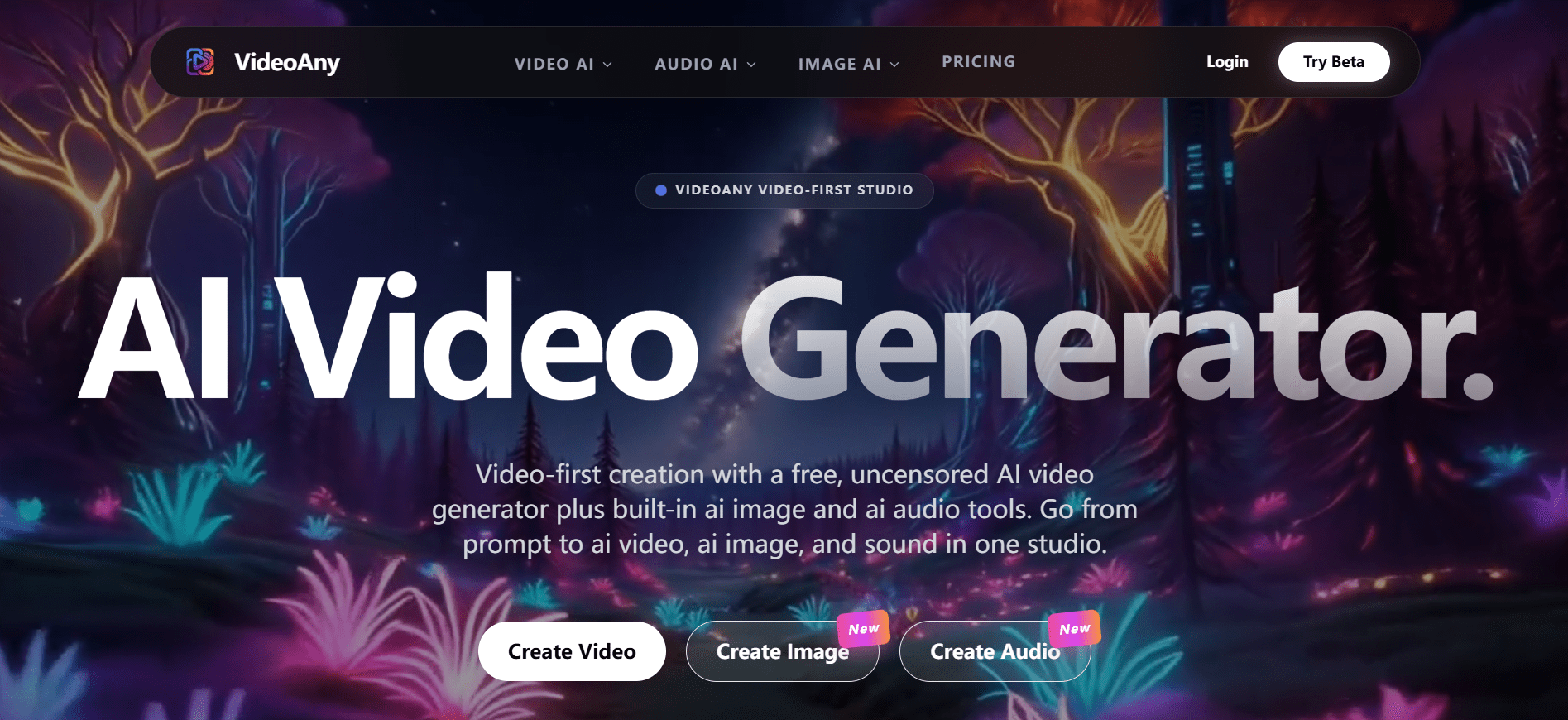 VideoAny logo